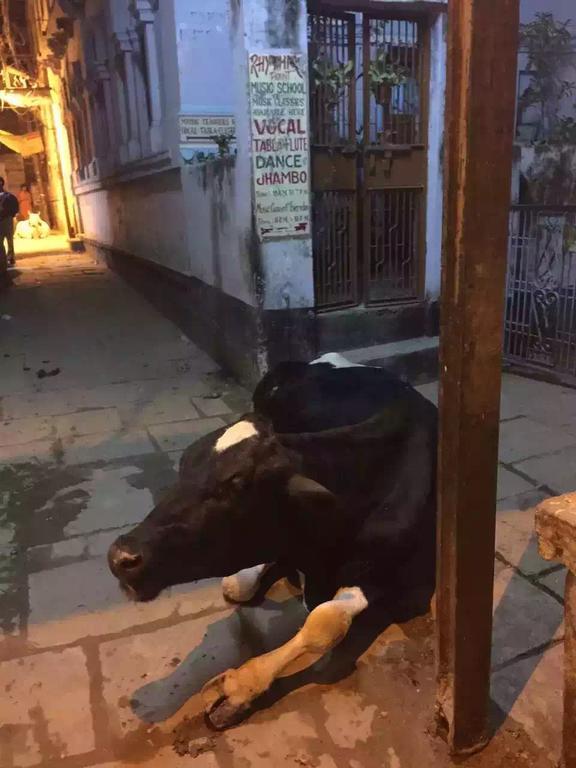 瓦拉纳西 天堂旅馆 酒店 外观 照片